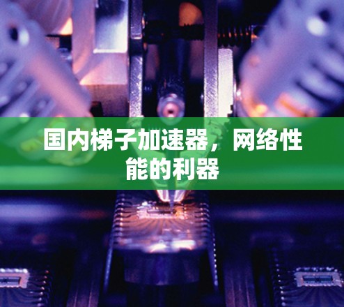 国内梯子加速器，网络性能的利器