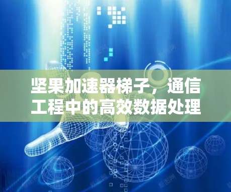 坚果加速器梯子，通信工程中的高效数据处理方案