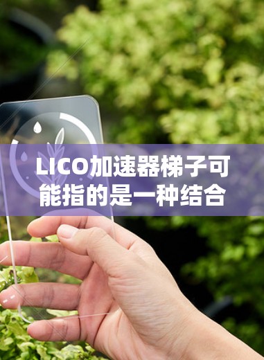 LICO加速器梯子可能指的是一种结合了加速器技术的机械臂或机器人，用于特定工业或医疗领域的高精度操作。以下是一些可能的信息和解释